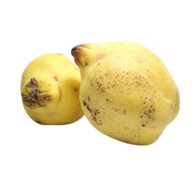 Quince organic