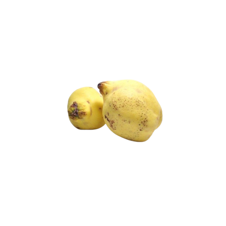 Quince organic