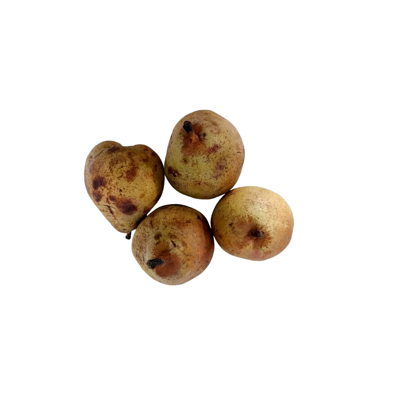 DECANA pear variety organic