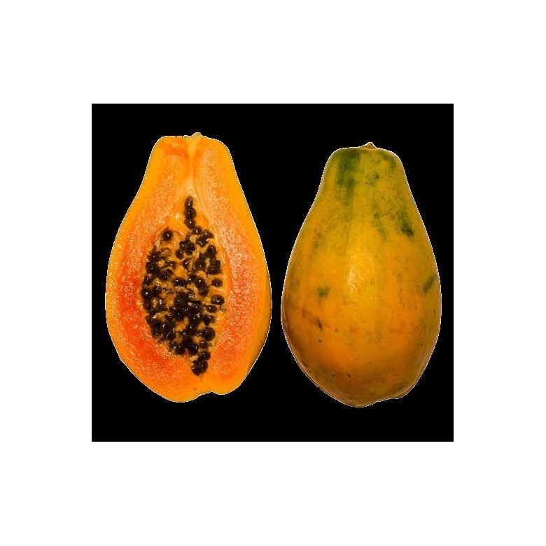 Papaya Ecologic