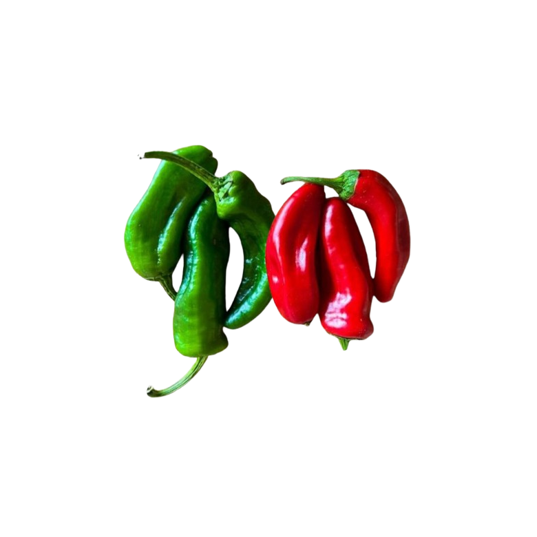 Pimiento padrón ROJO y VERDE Ecológico