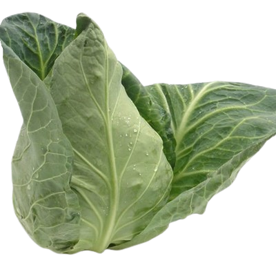 GREEN Beaked Cabbage Organic