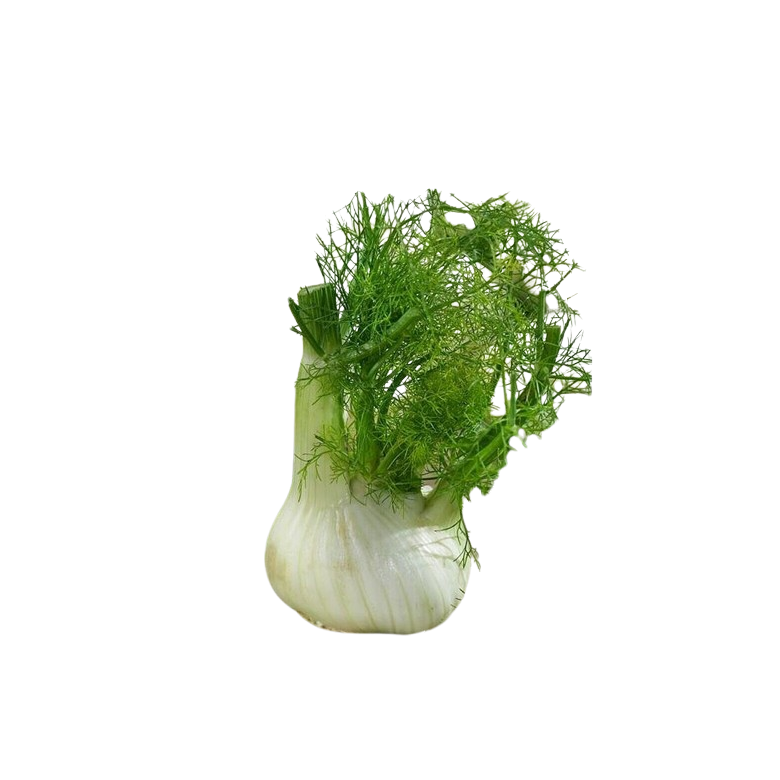 Fennel BULB unit Organic