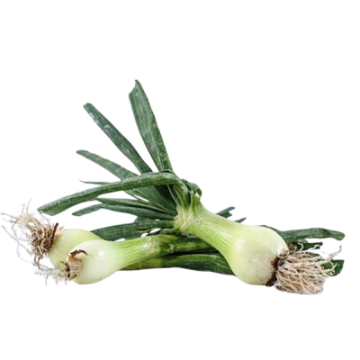 Spring Onion Ecologic 