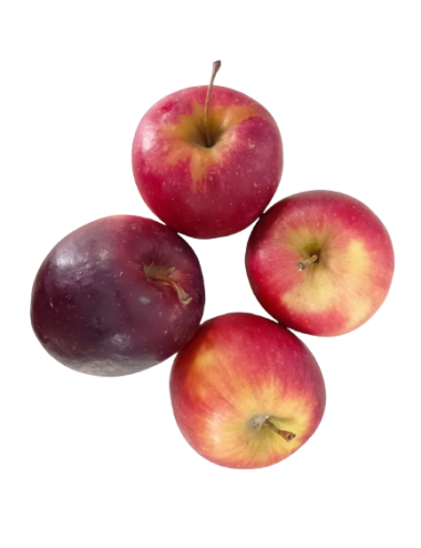 Manzana SAGARGORRI Ecológica
