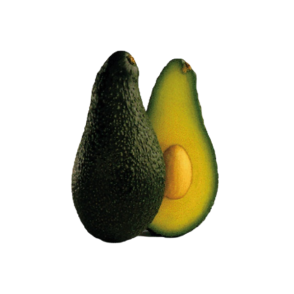 Aguacate PINKERTON Ecológico