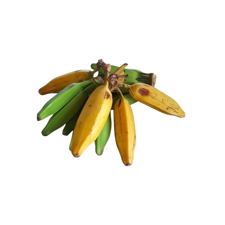 Plátano ORINOCO ecológico