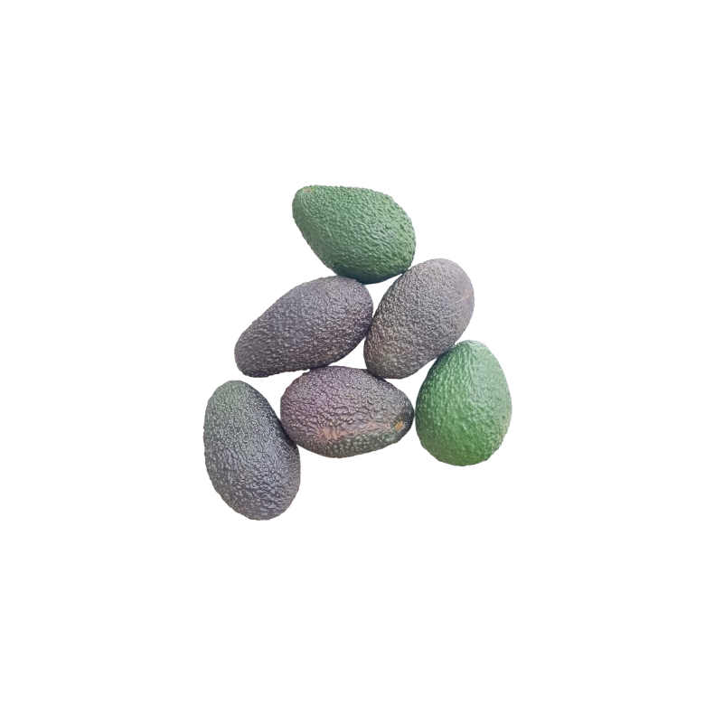 Aguacate hass PEQUEÑO Ecológico
