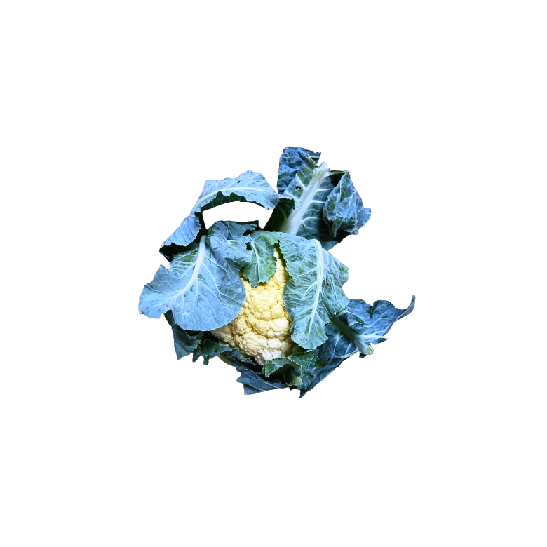 COLIFLOR GRANEL Ecológica 