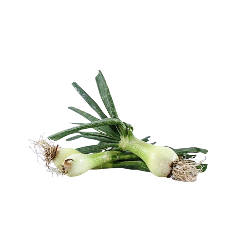 Spring Onions, slimy Variety - 0.5 Kg Bundles Ecologic 