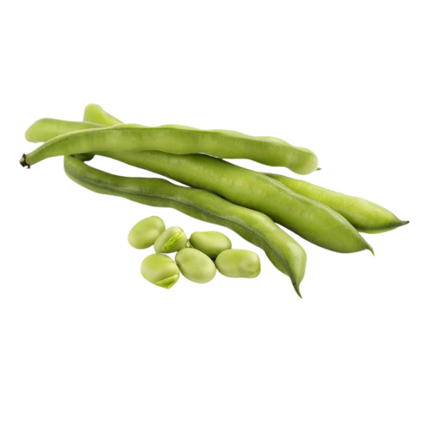 Green beans organic