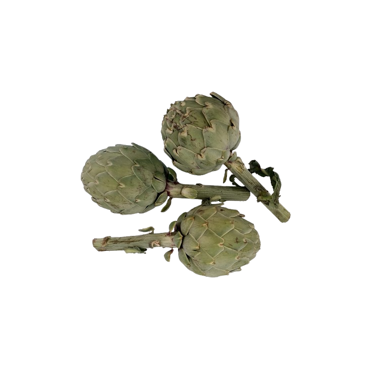 Alcachofa Ecológica