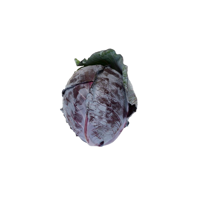 Red cabbage, BULK organic