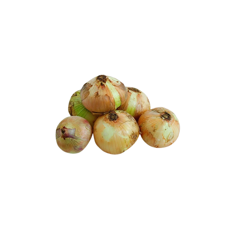 Ecologic Semi-dry White Onion