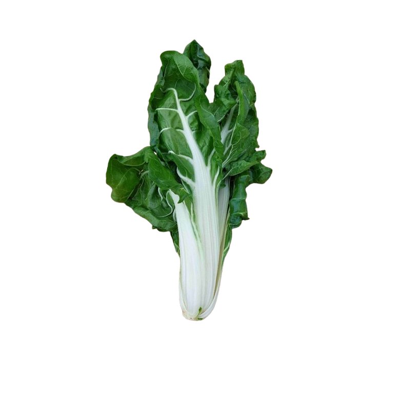 Acelga VERDE manojo 0,50 kg Ecológica 