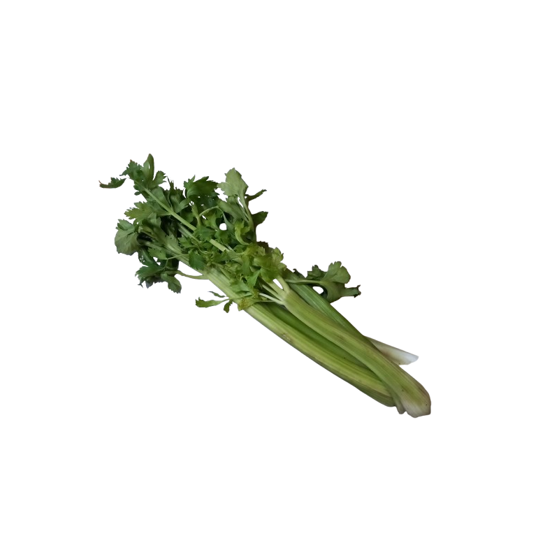 Ecologic green Celery