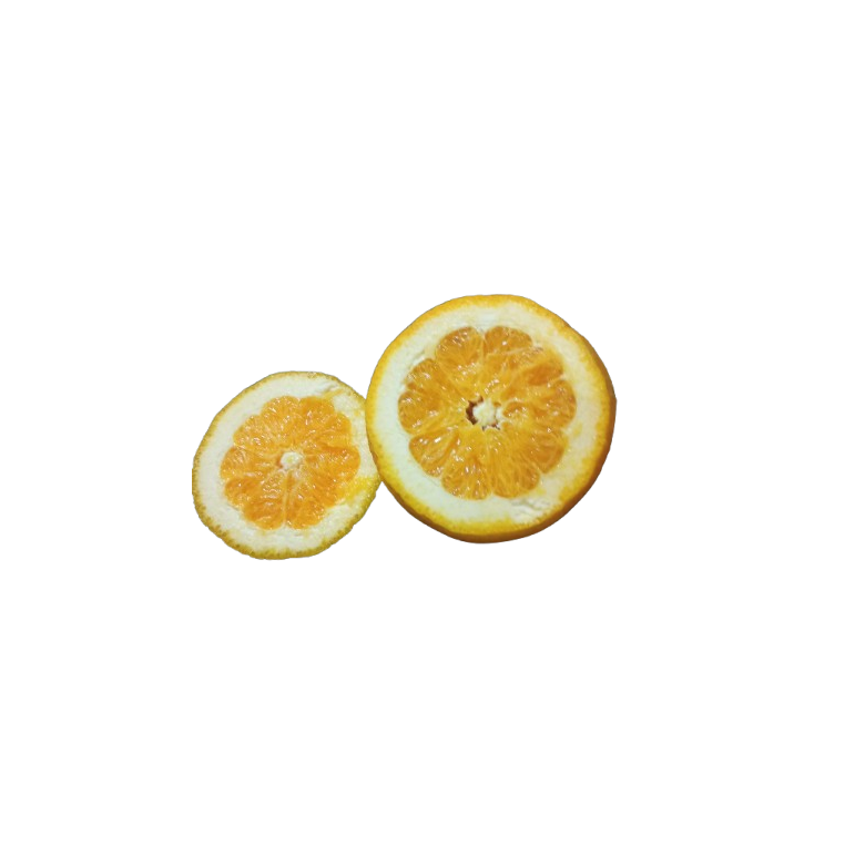 Naranja de MESA GRANDE Ecológica