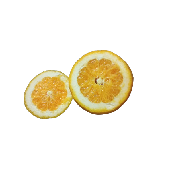 Naranja de MESA GRANDE Ecológica