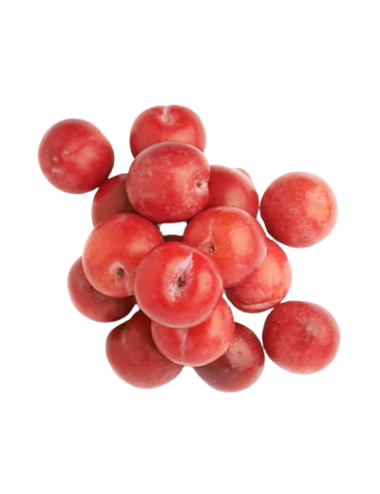 Red Beauty Plum organic