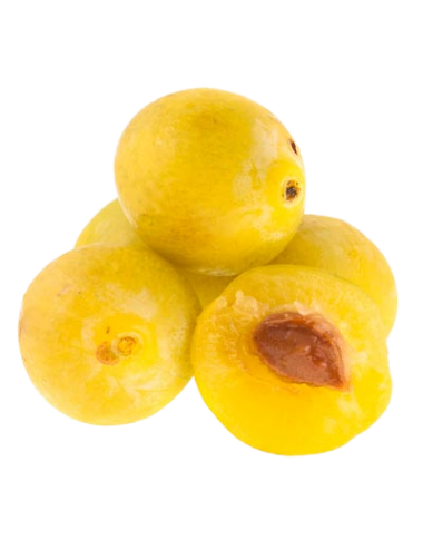 Ciruela AMARILLA Ecológica