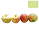 Manzanas de 2ª categoria Ecológicas