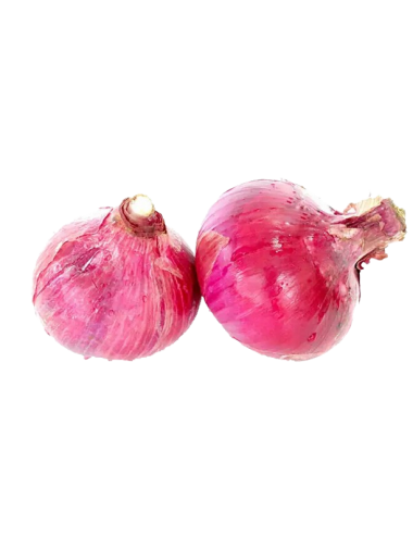 Semi-dry Ecologic Purple Onion