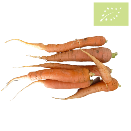 Zanahorias -SIN HOJAS- Ecológica