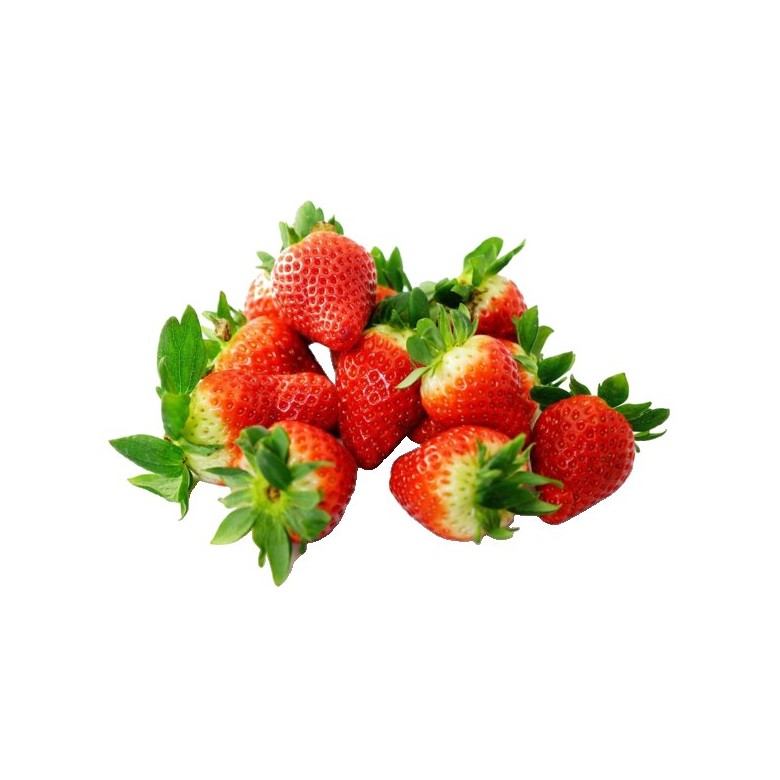 Fresas Bandeja 500g Ecológicas