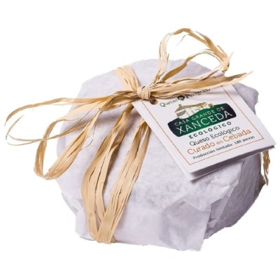 Organic Cow's Cheese Peregrino 400g