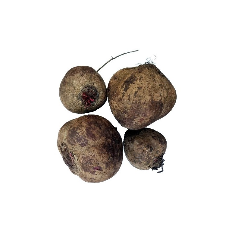 BIG BALL Beetroot organic