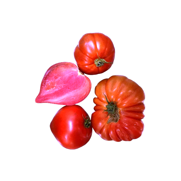 Tomate Huevo de toro Ecológico