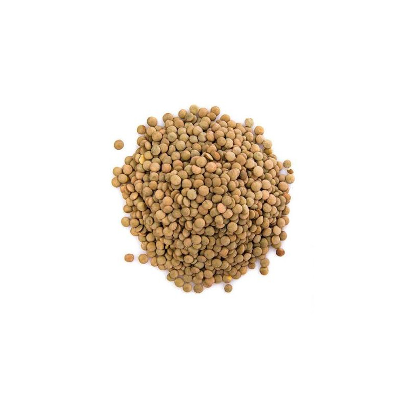 Castilian Lentils in Bulk Organic