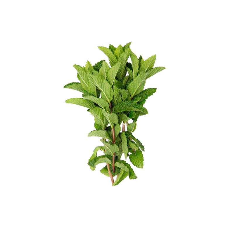 HIERBABUENA fresca manojo 50 gr Ecológico