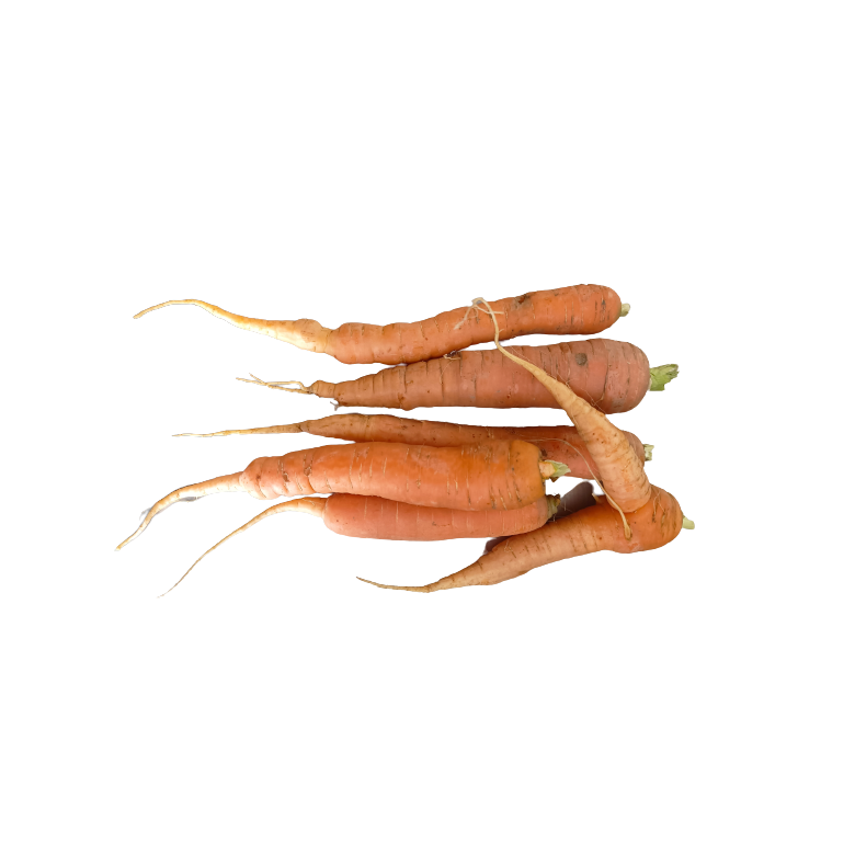 Carrots -NO LEAVES- Organic