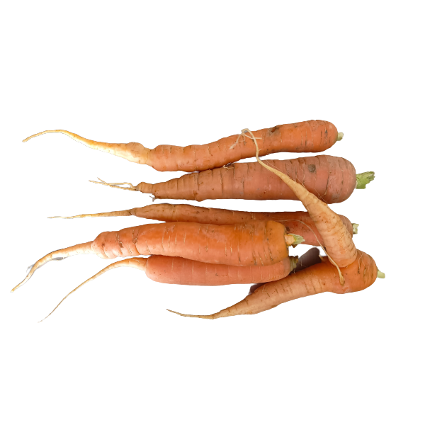 Carrots -NO LEAVES- Organic