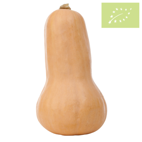 Calabaza Cacahuete Ecológica