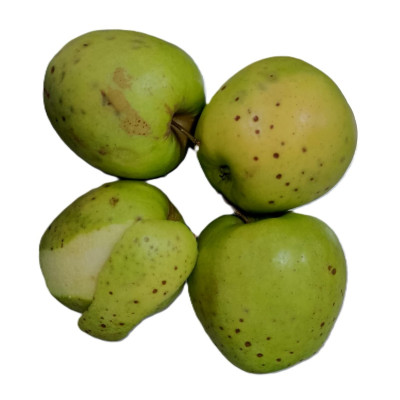 Manzana GOLDEN 2ª Ecológica
