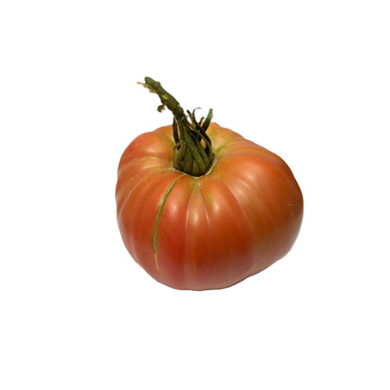 PINK tomato Organic
