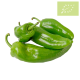 Pimiento verde italiano Ecológico