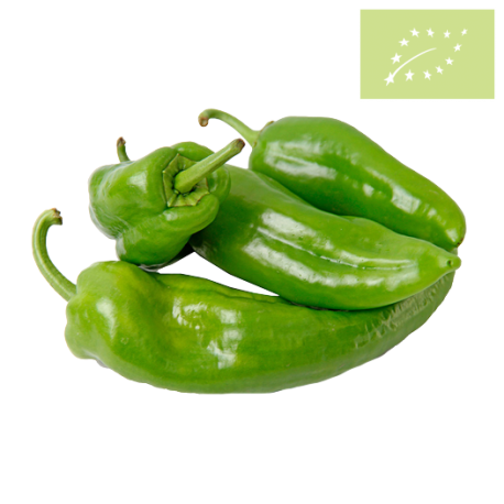 Pimiento verde italiano Ecológico