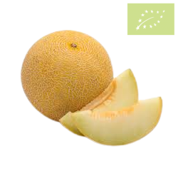 Melon GALIA Unidad Ecológico