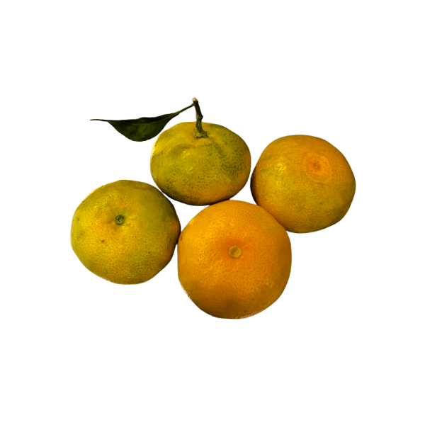 Mandarina Ecológica