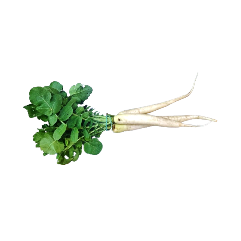 Daikon Radish organic