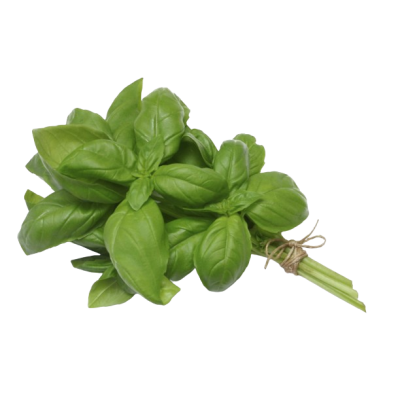 Fresh GREEN Basil Bunch 100 g Ecologic 