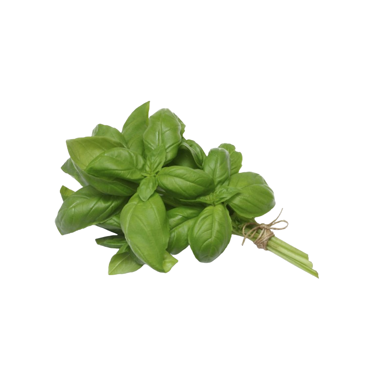 Albahaca VERDE fresca Manojo 50 gr Ecológica