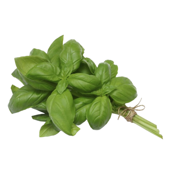 Albahaca VERDE fresca Manojo 50 gr Ecológica
