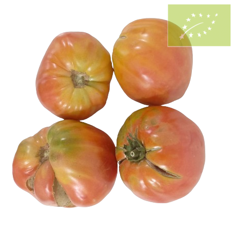 Tomate Huevo de toro Ecológico.