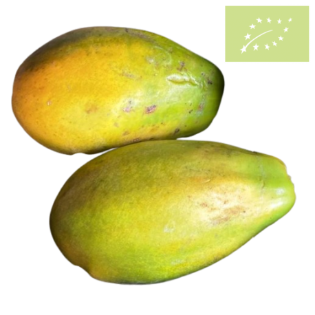 Papaya Ecológica