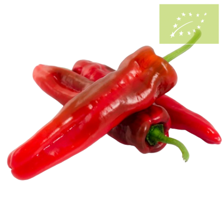 Pimiento ROJO italiano Ecológico