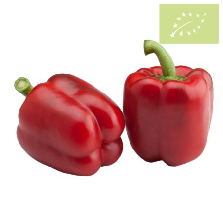 Pimiento California ROJO Ecológico